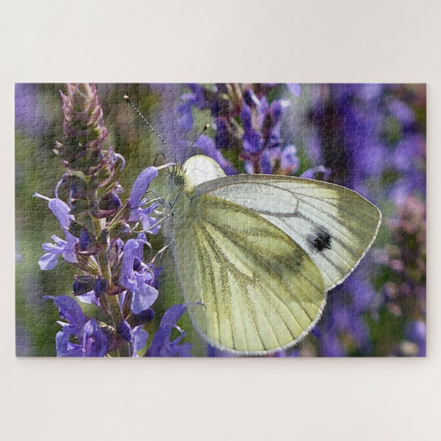 Puzzle Mariposa blanca Pieris Rapae. (Horizontal)