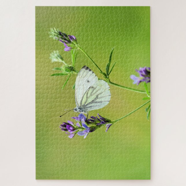 Puzzle Mariposa blanca veteada verde (Vertical)