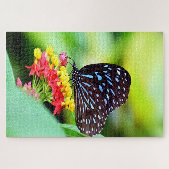 Puzzle Mariposa Blue Tiger Tirumala Hamata. (Horizontal)