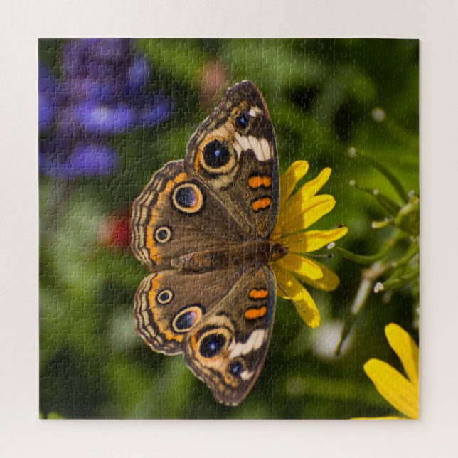 Puzzle Mariposa Buckeye En Flor (Vertical)