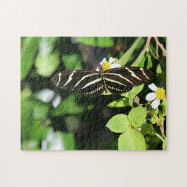 Puzzle Mariposa cebra