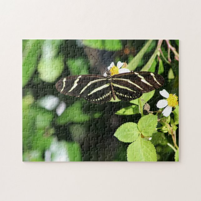 Puzzle Mariposa cebra (Horizontal)
