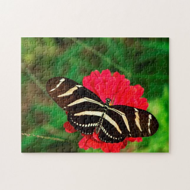 Puzzle Mariposa cebra de alas largas. (Horizontal)