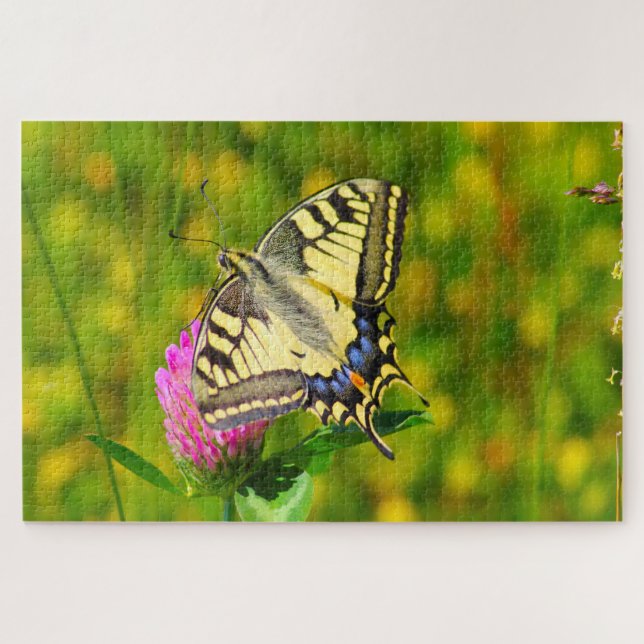 Puzzle Mariposa Cola de Golondrina. (Horizontal)