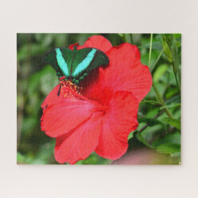 Puzzle Mariposa cola de golondrina esmeralda. (Horizontal)