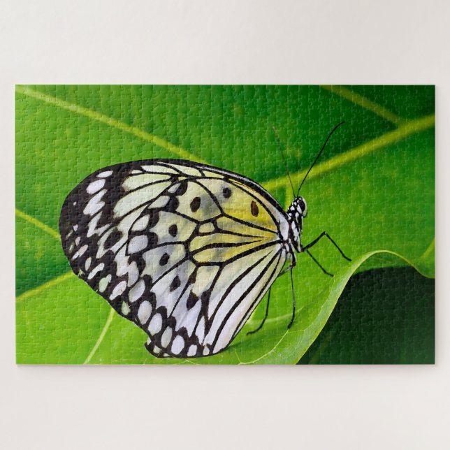 Puzzle Mariposa Cometa de Papel. (Horizontal)
