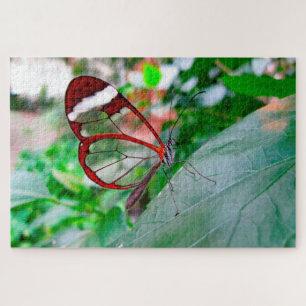 Puzzle Mariposa de Alas de Cristal.