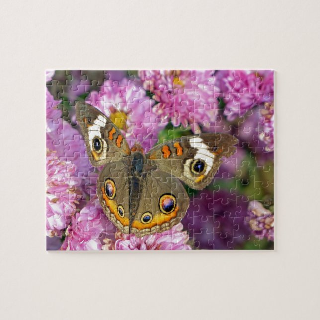 Puzzle Mariposa de Buckeye común (Horizontal)