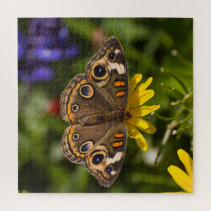 Puzzle Mariposa De Buckeye En Flor