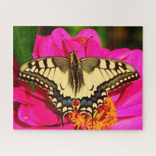 Puzzle Mariposa de cola cruda amarilla en flor rosa
