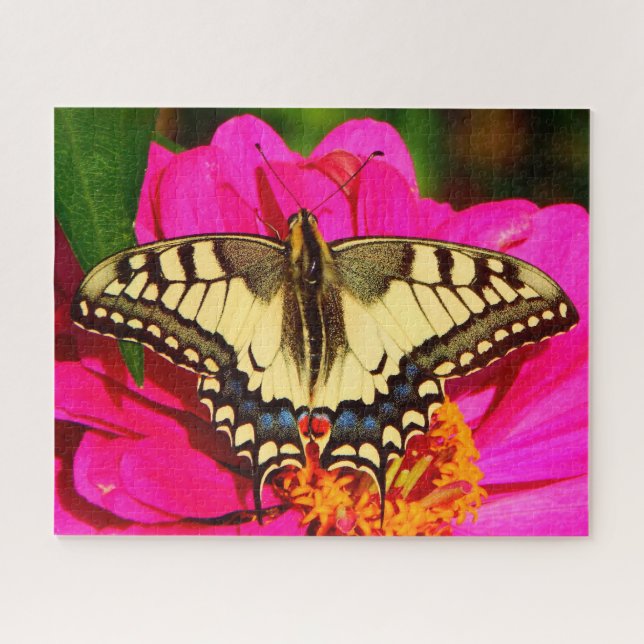 Puzzle Mariposa de cola cruda amarilla en flor rosa (Horizontal)