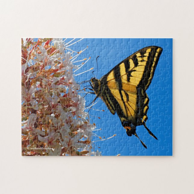 Puzzle Mariposa de cola cruda de tigre occidental en Buck (Horizontal)