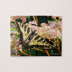 Puzzle Mariposa de cola cruda de tigre occidental en Rodg
