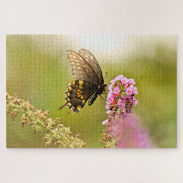 Puzzle Mariposa de cola de cerda negra