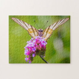 Puzzle Mariposa de cola de cereal escarpada.