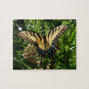Puzzle Mariposa de cola tragaluz III Bella foto colorida