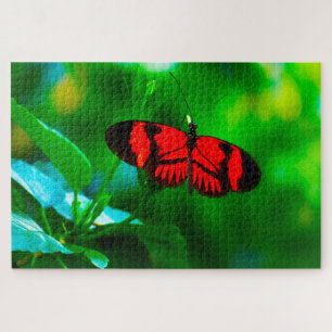 Puzzle Mariposa de la Pasión.