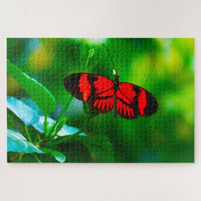 Puzzle Mariposa de la Pasión. (Horizontal)