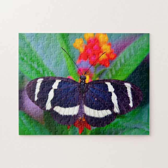 Puzzle Mariposa de la pasión. (Horizontal)