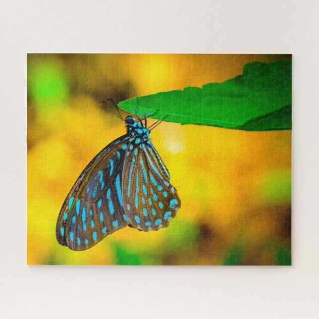 Puzzle Mariposa de lunares cebra. (Horizontal)