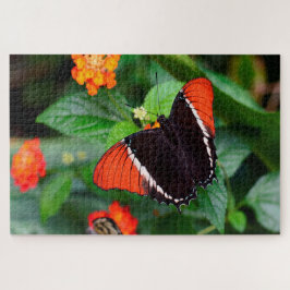 Puzzle Mariposa de Página con Punta Oxidada.