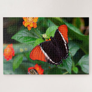 Puzzle Mariposa de Página con Punta Oxidada.