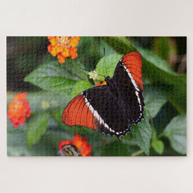 Puzzle Mariposa de Página con Punta Oxidada. (Horizontal)