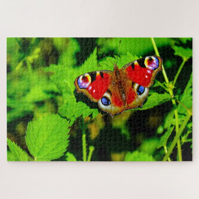 Puzzle Mariposa de pavo real. (Horizontal)