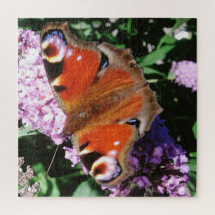 Puzzle Mariposa De Pavo Real En Mauve Buddleia