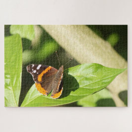 Puzzle Mariposa del Almirante Rojo