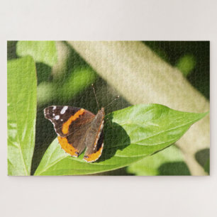 Puzzle Mariposa del Almirante Rojo
