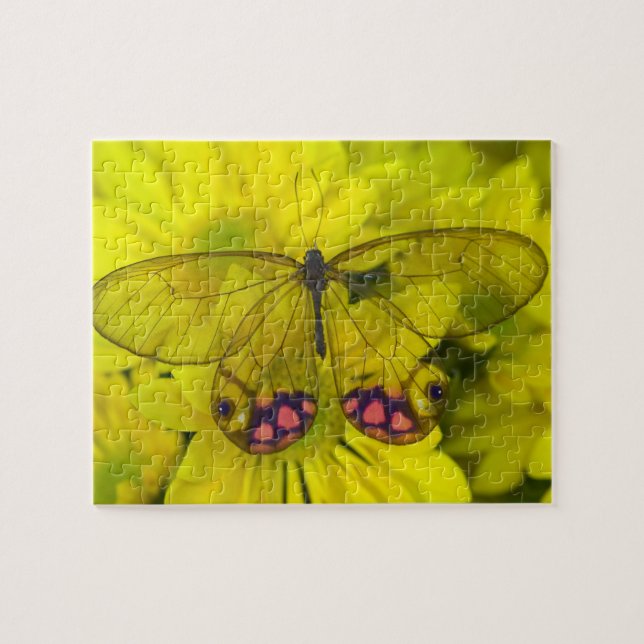 Puzzle Mariposa en amarillo (Horizontal)