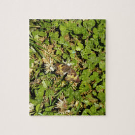 Puzzle Mariposa en Hojas