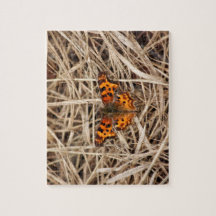 Mariposa en la paja