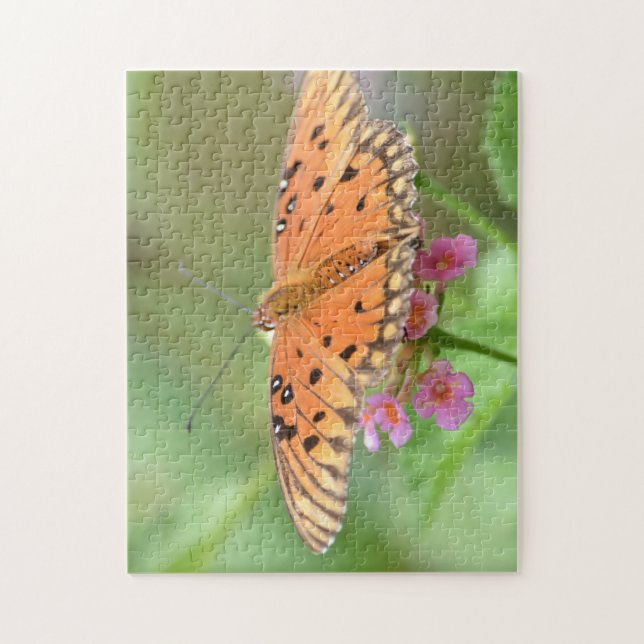 Puzzle Mariposa en una flor encontrada en un parque local (Vertical)