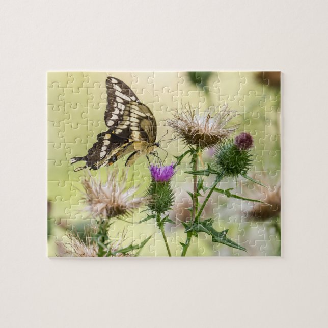 Puzzle Mariposa Gigante (Horizontal)