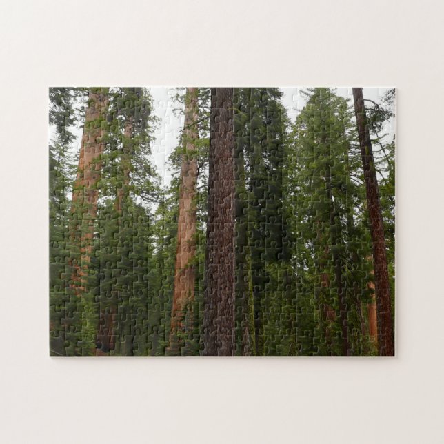 Puzzle Mariposa Grove en el Parque Nacional Yosemite (Horizontal)