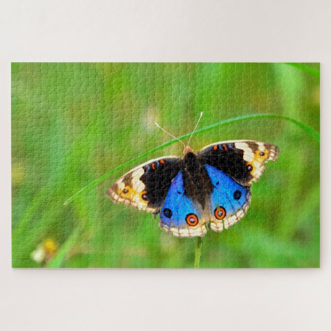Puzzle Mariposa Kupu Kupu (Horizontal)