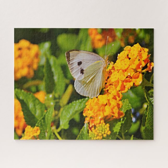 Puzzle Mariposa Ling Blanca. (Horizontal)