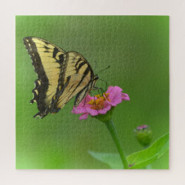 Puzzle Mariposa Magnífica En Zinnia