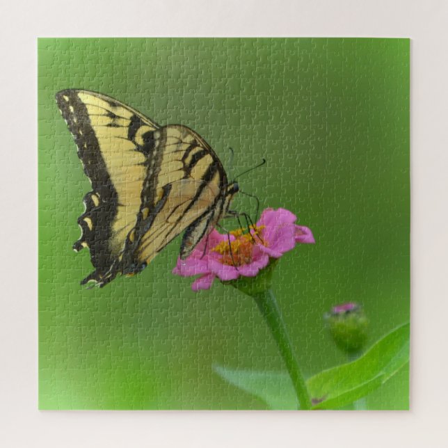 Puzzle Mariposa Magnífica En Zinnia (Vertical)
