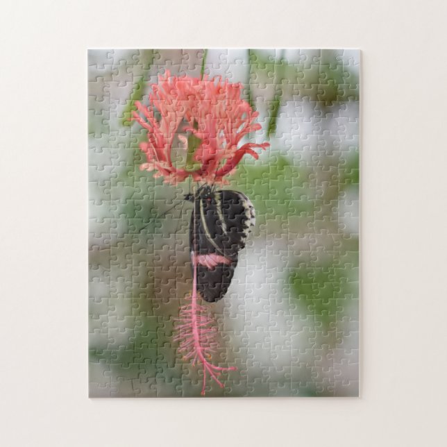 Puzzle Mariposa Mariposa Mariposas Naturaleza Fotografía  (Vertical)