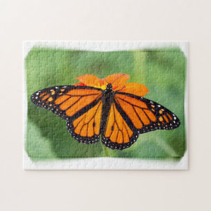 Puzzle Mariposa monarca