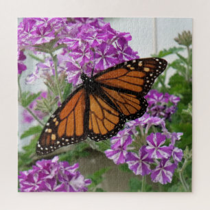 Puzzle Mariposa monarca