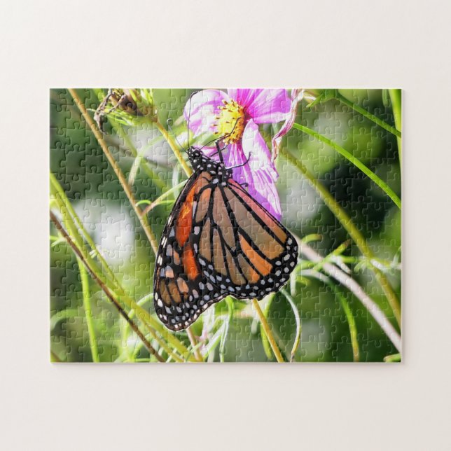 Puzzle Mariposa monarca (Horizontal)