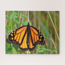 Puzzle Mariposa monarca.