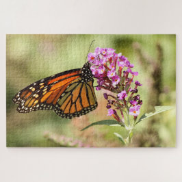 Puzzle Mariposa monarca