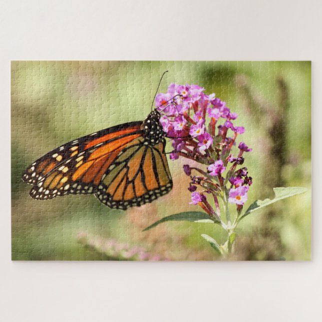 Puzzle Mariposa monarca (Horizontal)