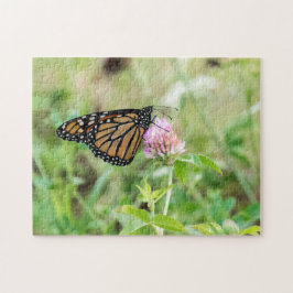 Puzzle Mariposa monarca
