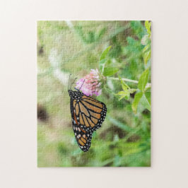 Puzzle Mariposa monarca